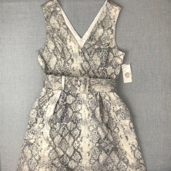 Julia Jordan Snake Print Fit & Flare Dress Size 6 - Picture 2 of 8
